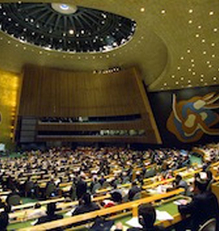 A Assembleia Geral da ONU.