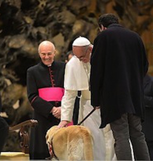 Papa Bergoglio acaricia um cão guia.