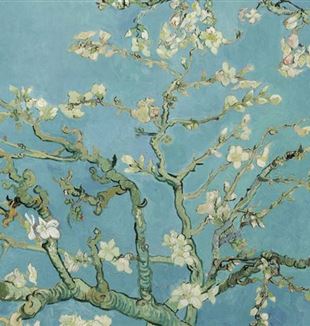 Vincent van Gogh, "Amendoeira em flor" (detalhe)
